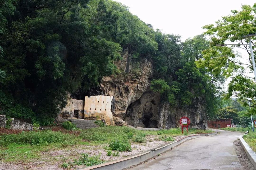 老區新貌 | 塘鎮東村:石灰岩地區的別樣風景