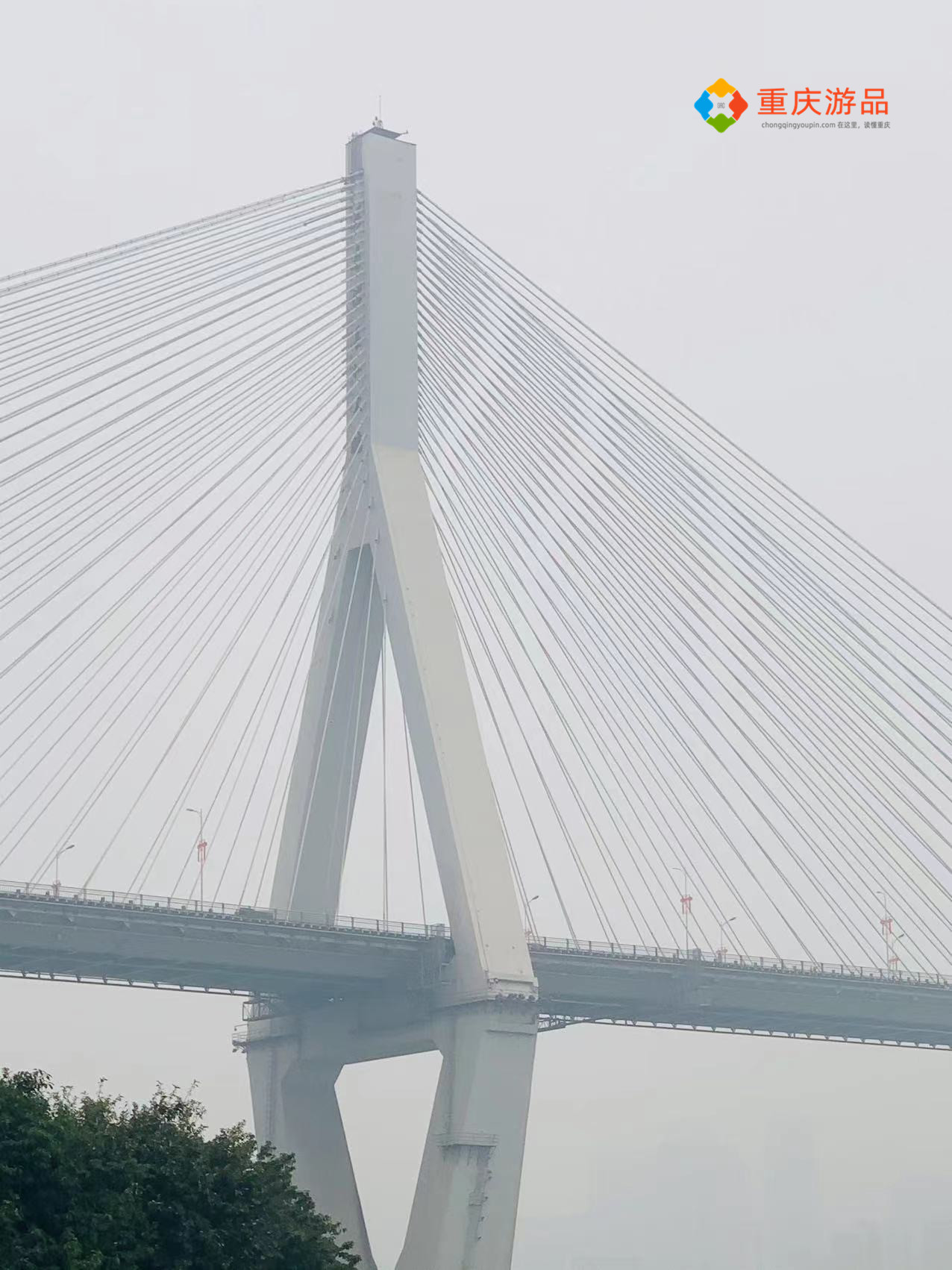 重庆居然还有这样的桥!马桑溪长江大桥,只看了一眼就被震撼到了