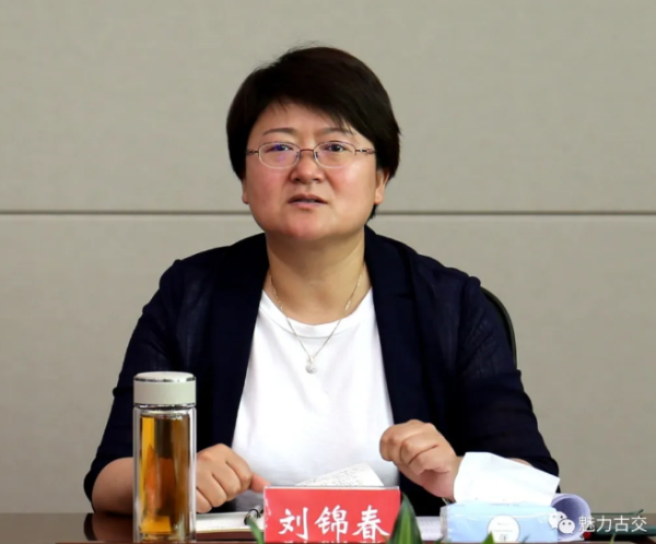 刘锦春主持召开重点工程项目推进会