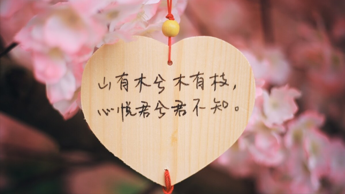 "在因上努力,果上随缘",才是对待爱情最好的方式