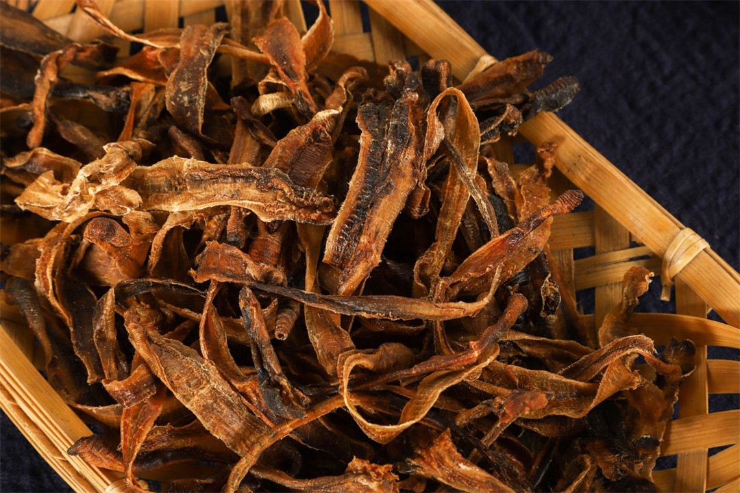 一斤售价过百!一天能赚200元,电蚯蚓为何如此"暴利"?