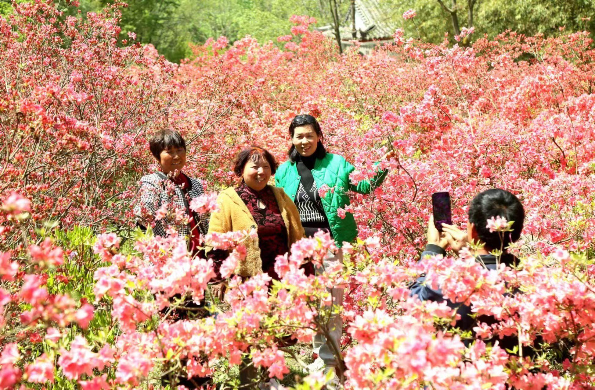 第二十一届河南汝阳杜鹃花节暨炎黄文化节开幕