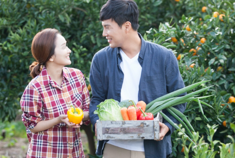 真实故事:2015年,安徽一桩荒诞的家庭纠纷案