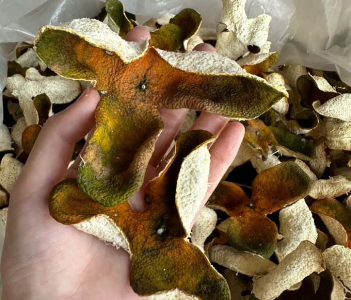 青皮,二红皮,大红皮,带你走进新会陈皮的"色彩世界"!