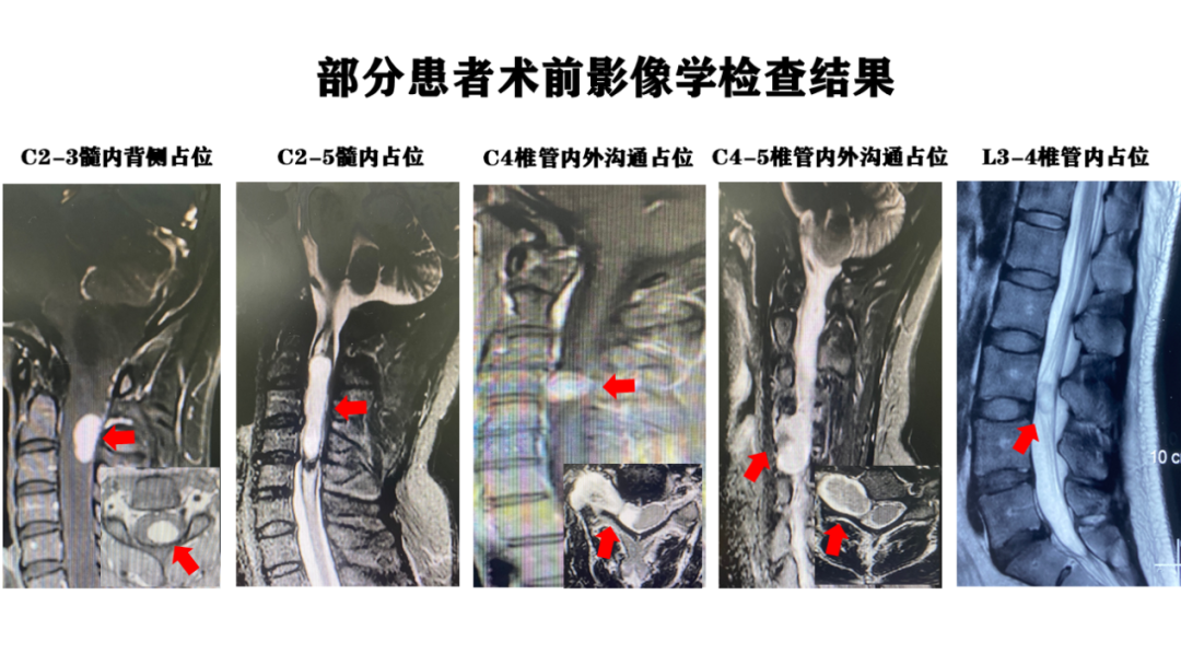 「医学人文」精心励志,精益求精