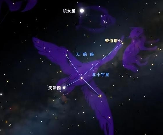 天鹅座星系发来异常信号,解密内容令科学家警觉!