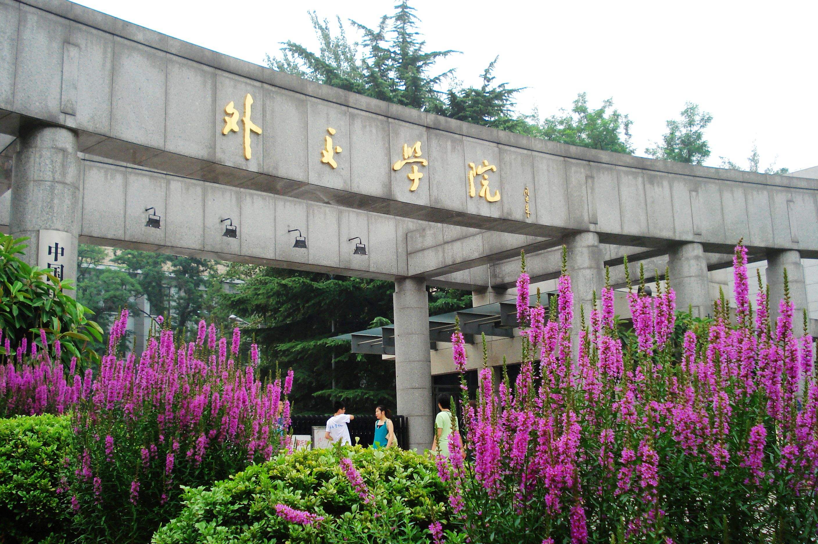 揭秘五大官校:外交学院的真实就业质量到底如何?是否值得报考?