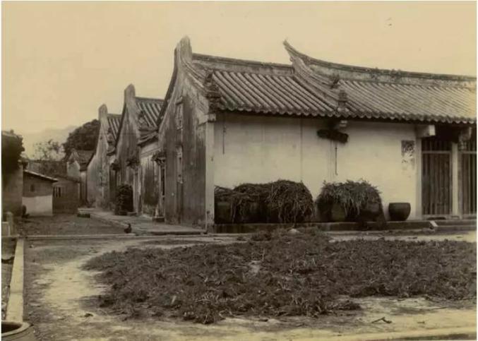 伊莎贝拉·伯德:行走的女探险家