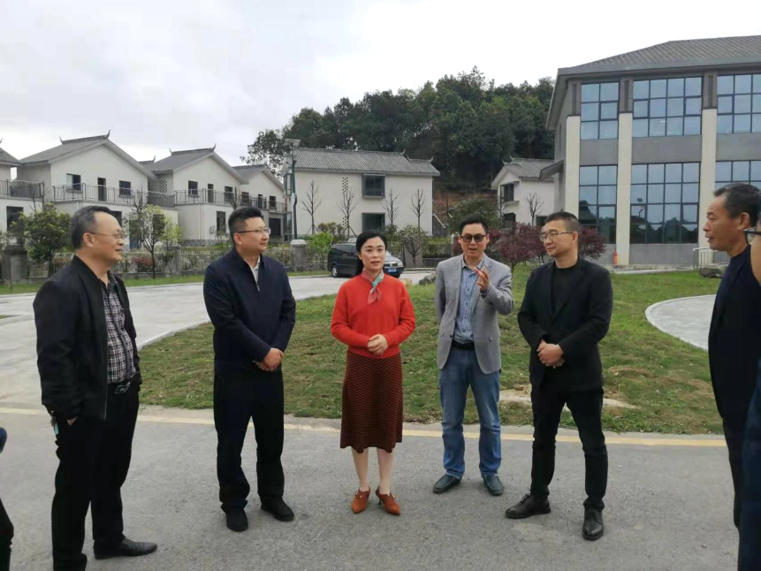 高县县委常委,统战部部长李杰霞到落润镇调研统战工作