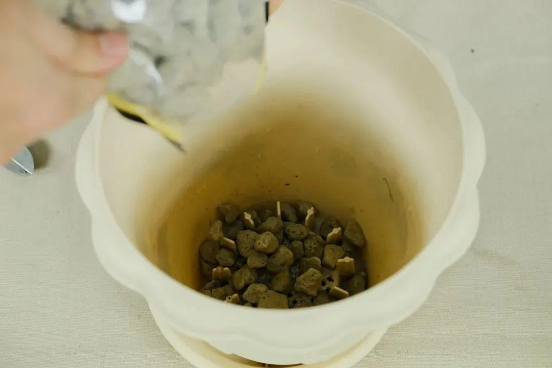 土里埋个"红薯",呼呼开出富贵花,大吉大利开门见喜