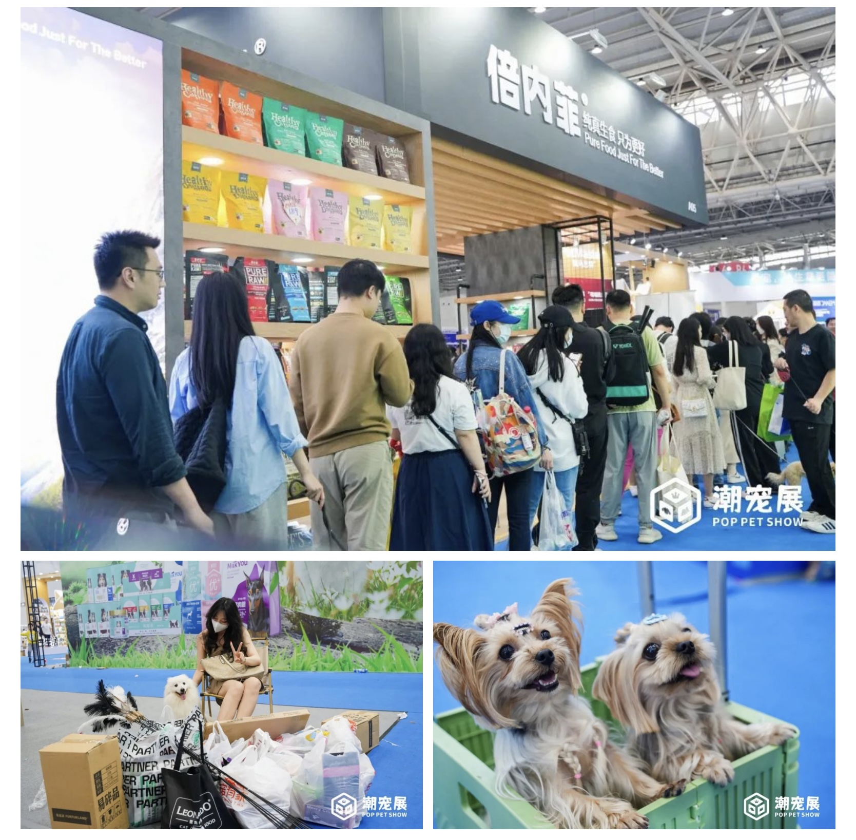 萌宠/三坑/摄影"潮人"看过来!广州国际潮宠展邀你来自由行!