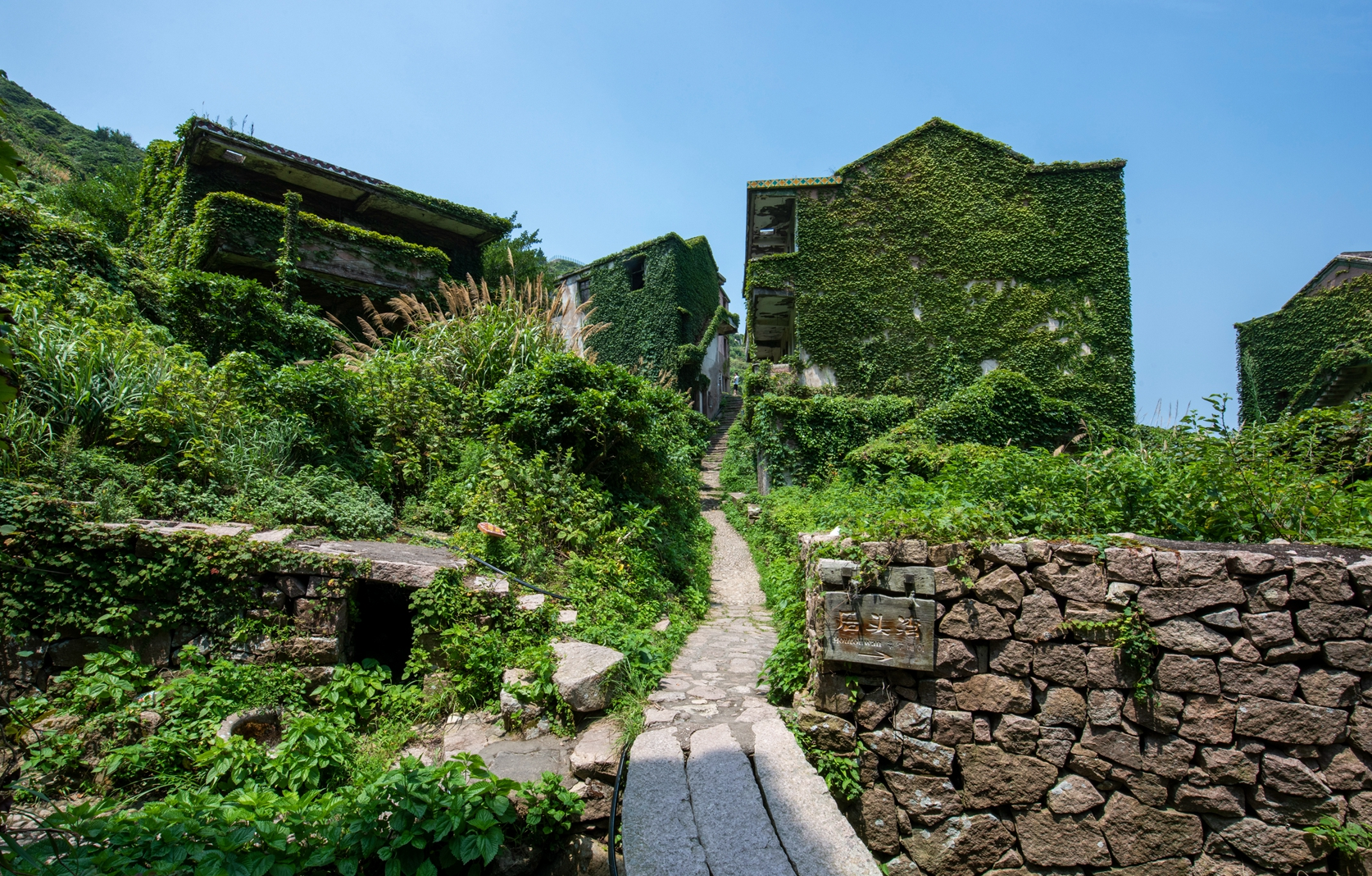 舟山群岛神秘的海滨无人村,居民搬走后,变成意想不到的奇幻世界