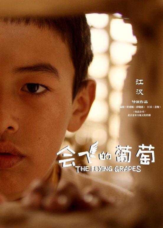 《会飞的葡萄》获金鸡奖最佳儿童片提名 由江汉指导