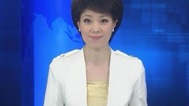 央视女主持李文静,和老公成为丁克一族,她如今怎么样了?