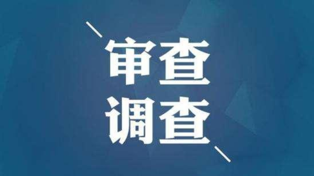 江西省宜春市审计局原党组书记,局长林良友严重违纪违法被双开
