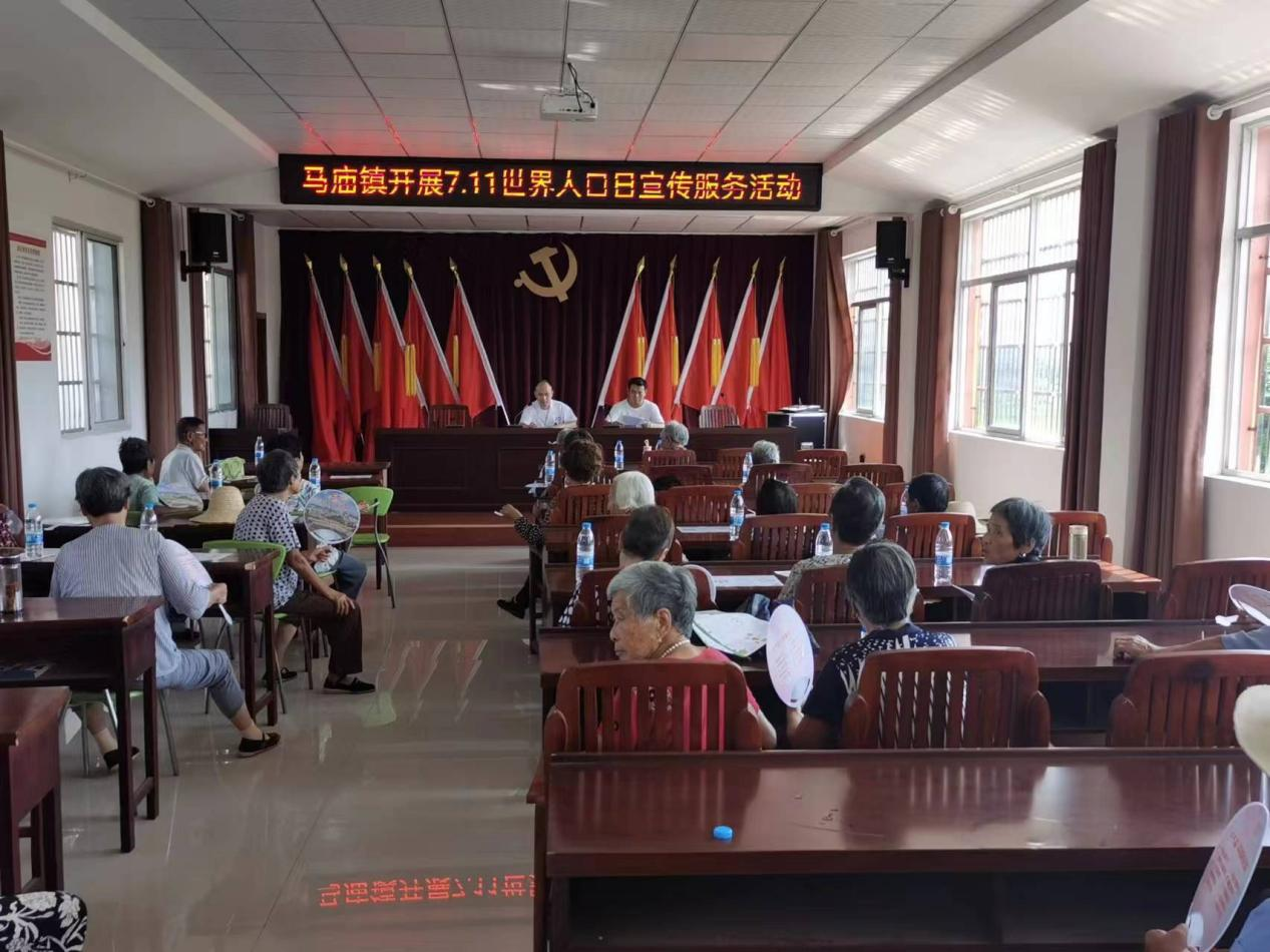 怀宁县马庙镇开展"世界人口日"宣传活动