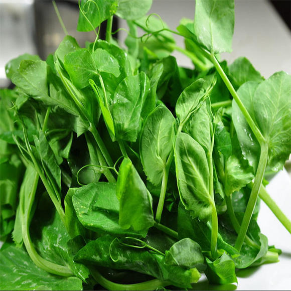 秋天人人爱美,不妨多吃的好食物,润肠通便,缓解便秘,气色更好