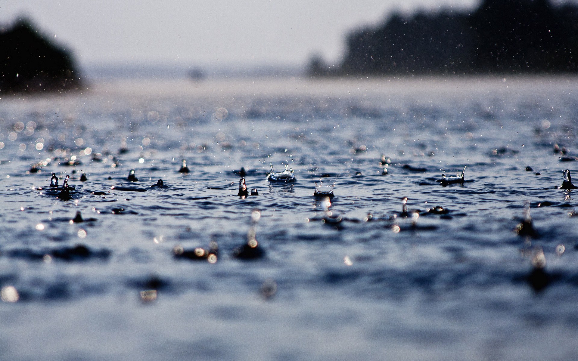 你我皆是人间烟火——深夜的雨,总是那么触动人心