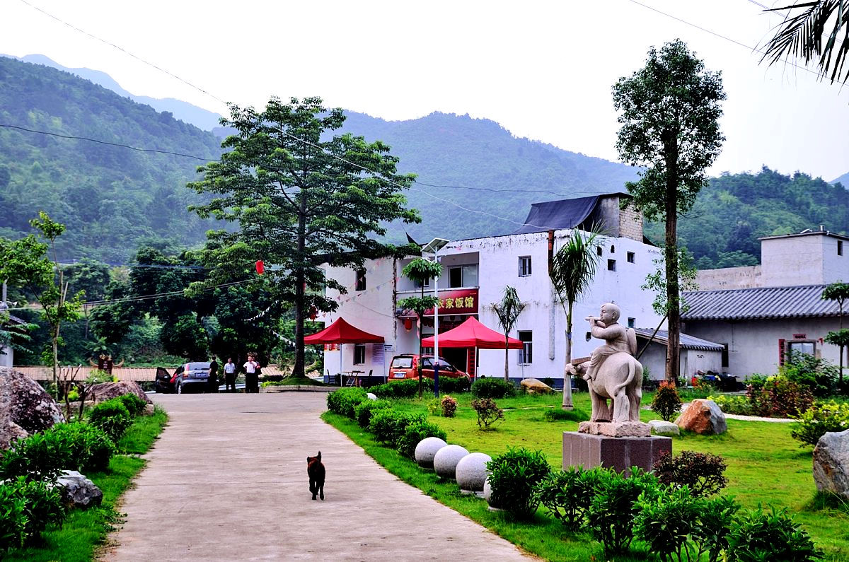 农村集体经济:推动共同富裕目标实现的"对策建议"