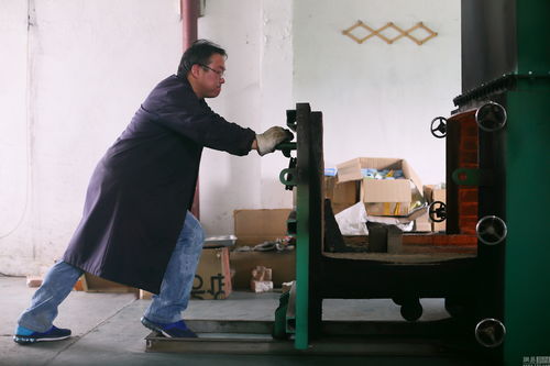 沈阳宠物火化场:致敬伴我一生的宠物伙伴