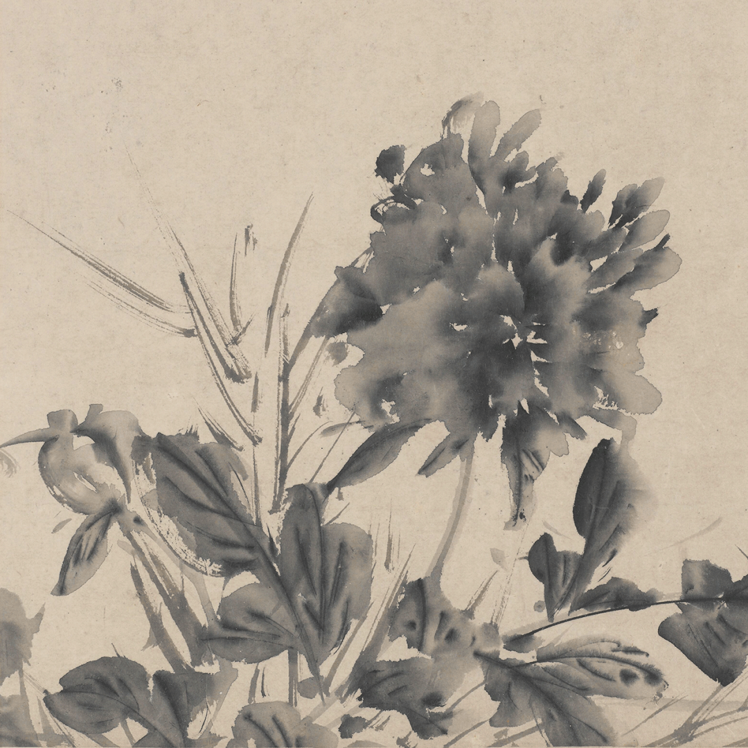 访古丨徐渭 · 十二墨花图