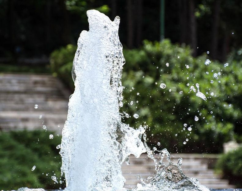 你见过水面上突然冒出一朵花吗?这就是水跃,让人惊叹的自然奇观
