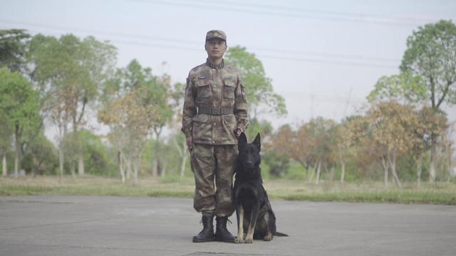 1993年《犬王》炸死功勋军犬,姚守岗片场高呼,战士哭到吐血