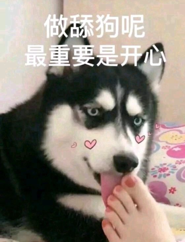 641_837竖版 竖屏