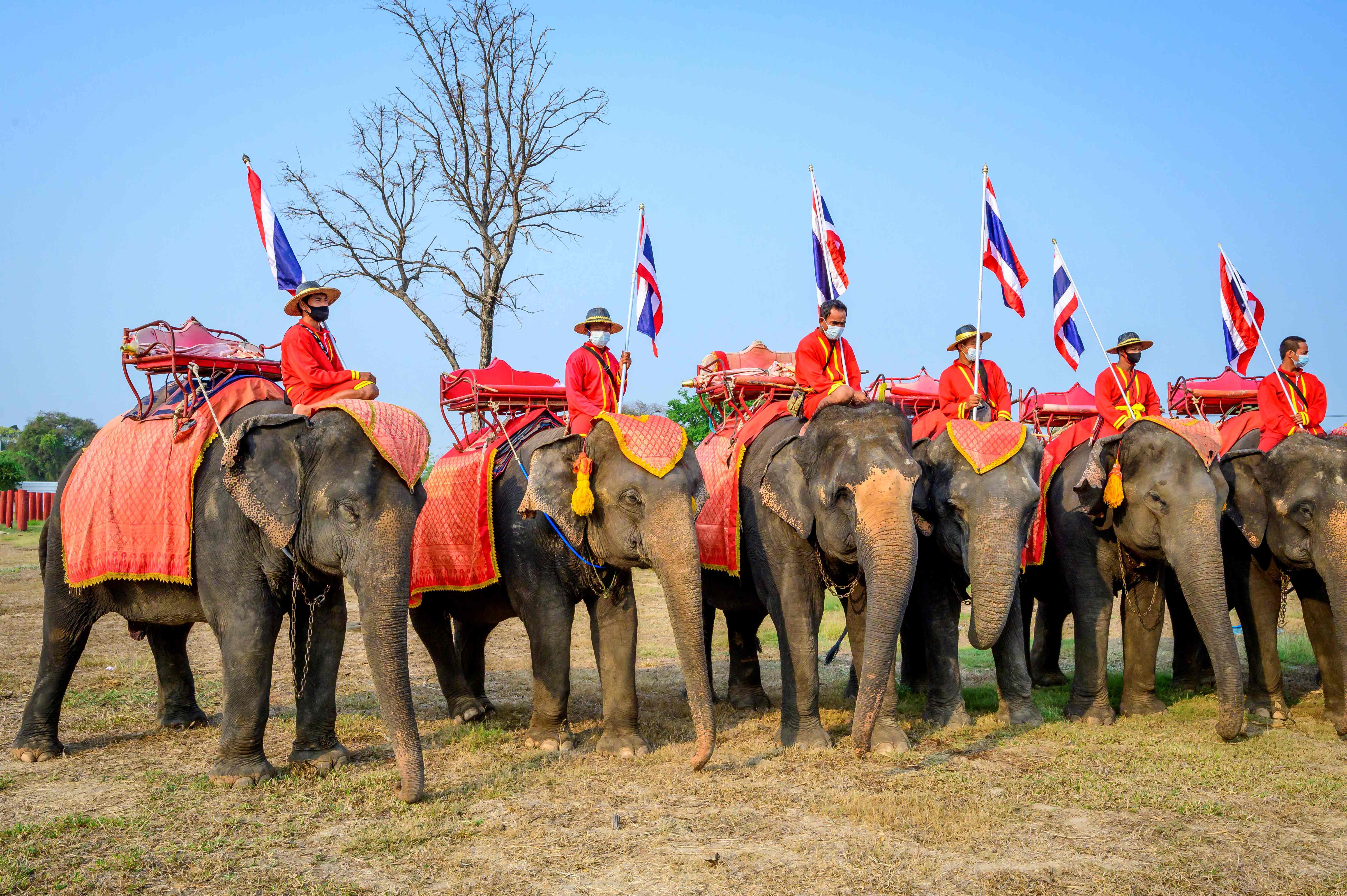 泰国庆祝大象日