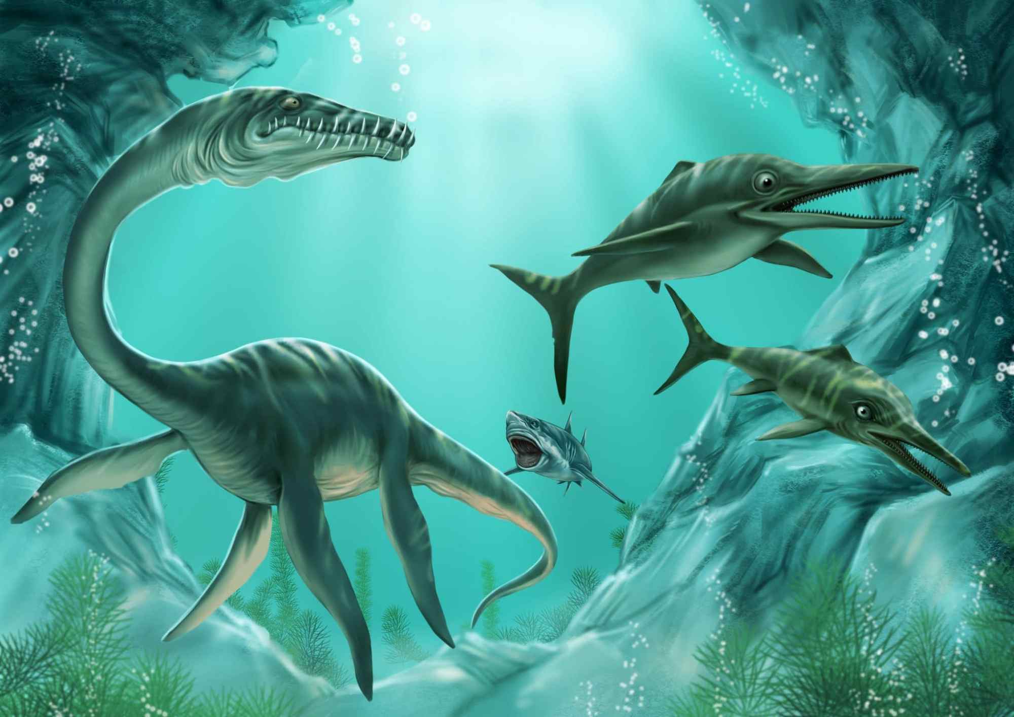 英国发现有史以来最大鱼龙化石保存完美约18亿年历史