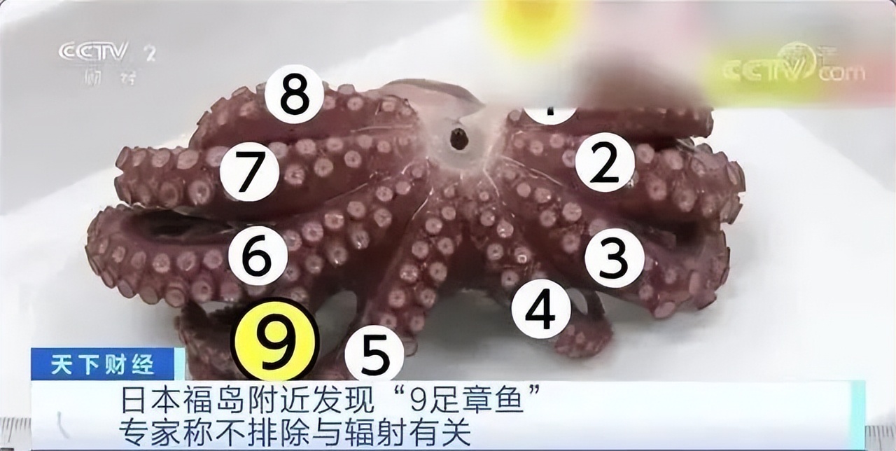 日本宣布排核废水7天后,动物变异,国内通知:禁止进口相关食品