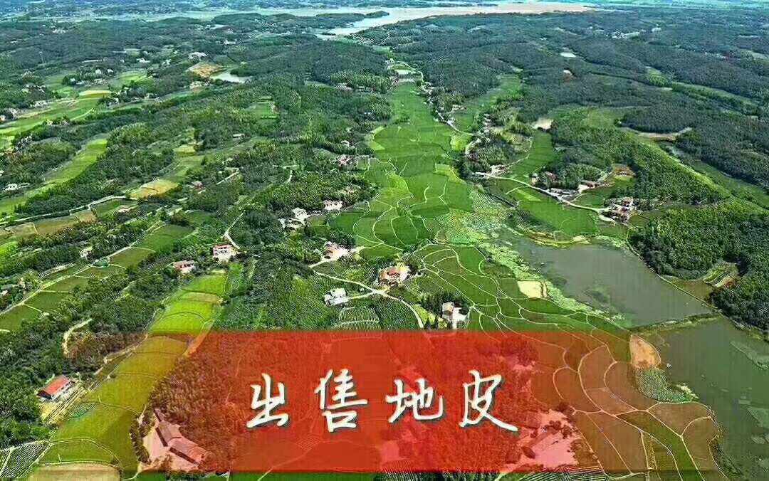 10年龚刚模被抓:我在重庆放高利贷的日子,既日进斗金也刀口舔血