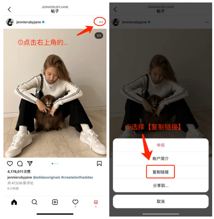 ins怎么保存原图?instagram照片下载软件免费下载ins图片视频
