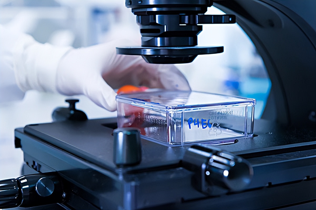 细胞培养技术在生物医药领域的革新与突破