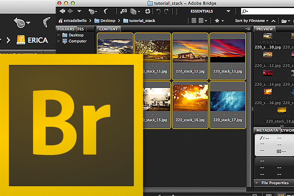 adobe bridge中文版下载br软件下载全系列直装版