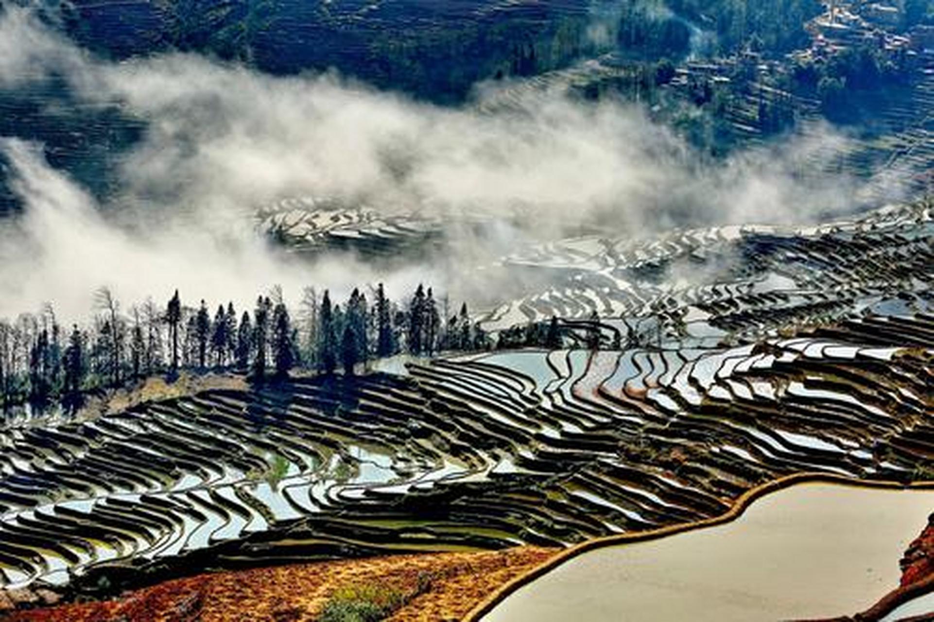 云南红河县撒玛坝万亩梯田在缥缈云海的衬托下,如诗如画一般.