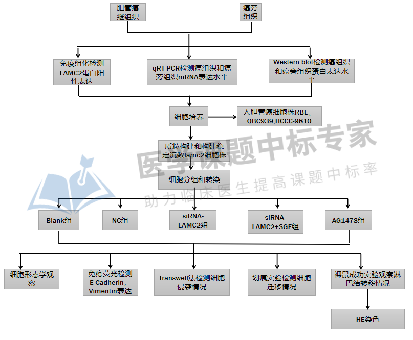 叮!國自然熱點技術路線模板 醫學部3800份中標標書目錄|aier福利