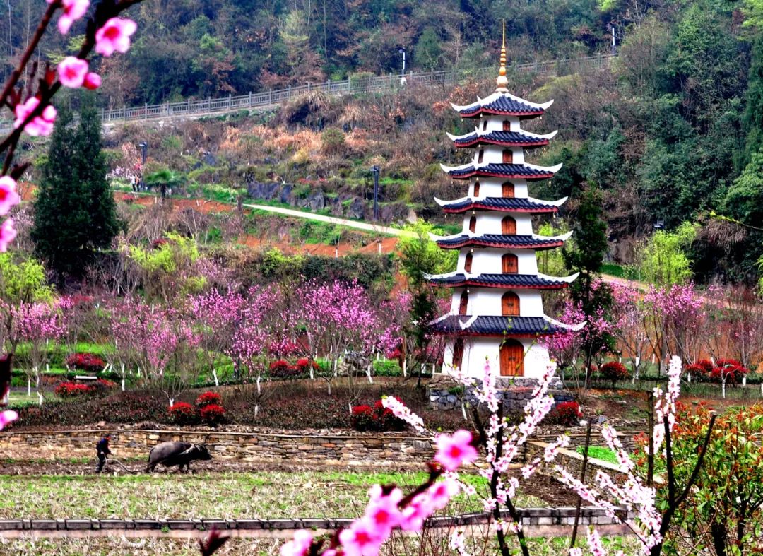 正安桃花源记景区介绍图片