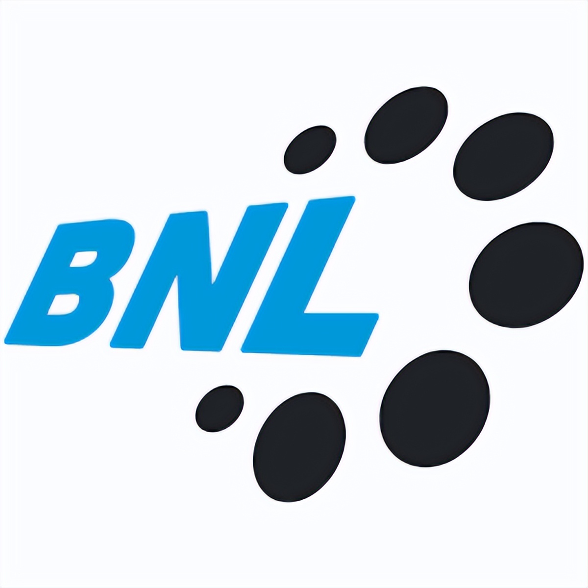 塑料轴承领导者bnl