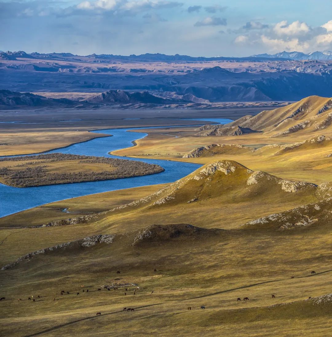 新疆也有大草原?不是伊犁河谷