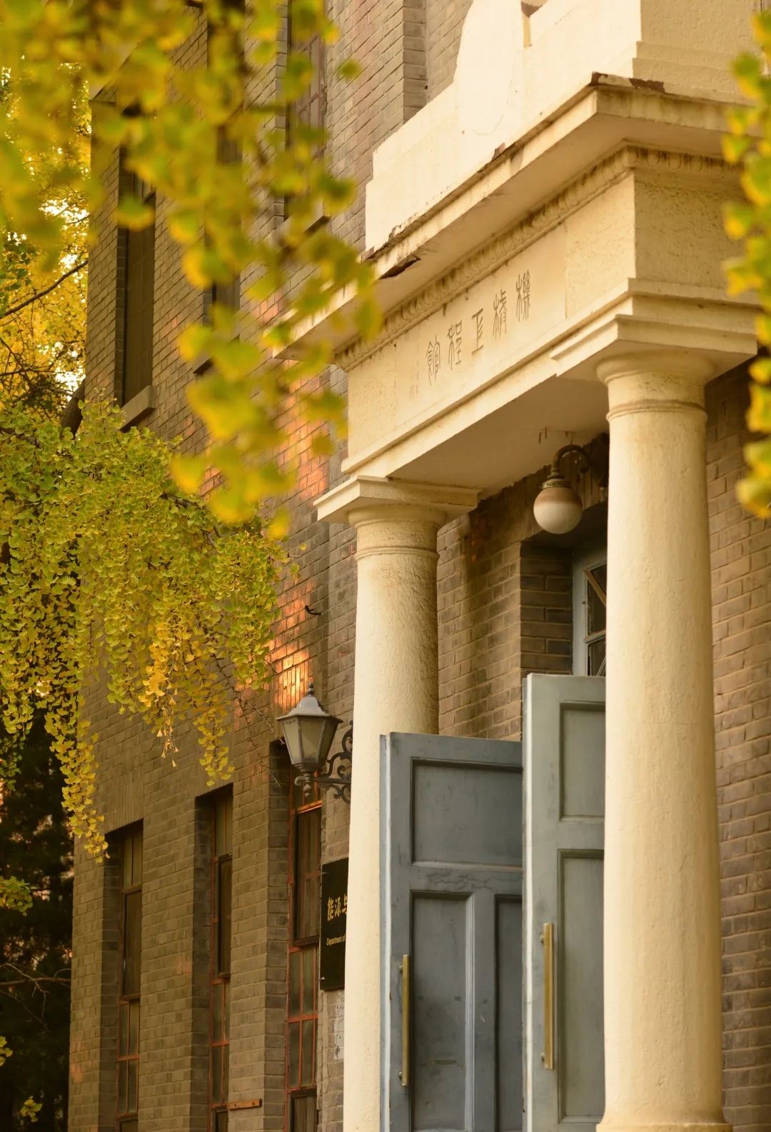 清华大学的秋:噢!叶!