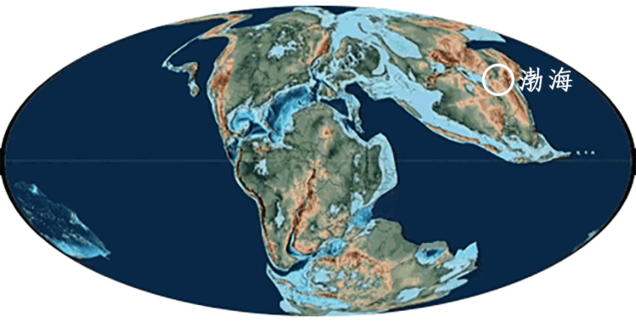 正经历着地质大变革,联合大陆走向解体,印支运动下古提斯洋逐渐萎缩