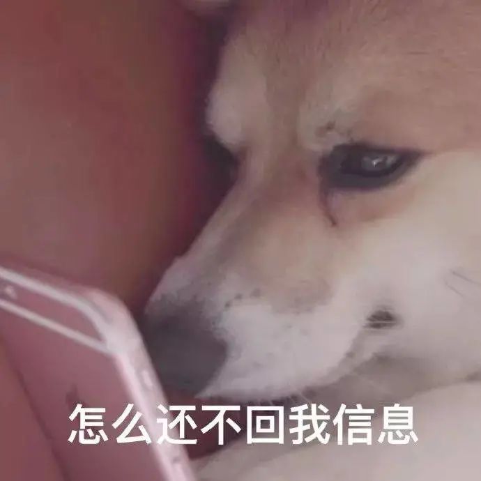 沙雕文案_有那些舔狗沙雕文案?舔狗该舔的明明白白!