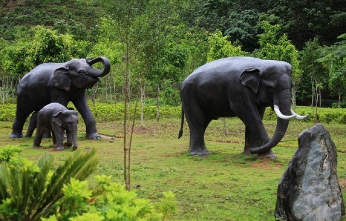 昆明动物园大象莫坡图片