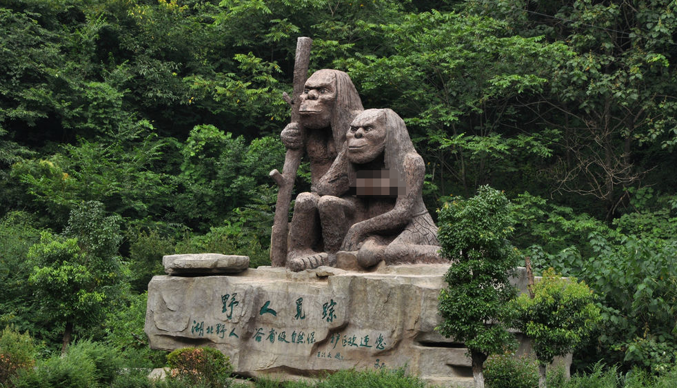 湖北神农架惊现"猴娃",传闻其母与野人所生,真相究竟是怎样?