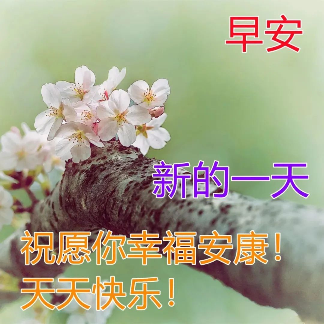 清晨祝福朋友们美好的早安问候图片,早晨好温馨的祝福语录句子
