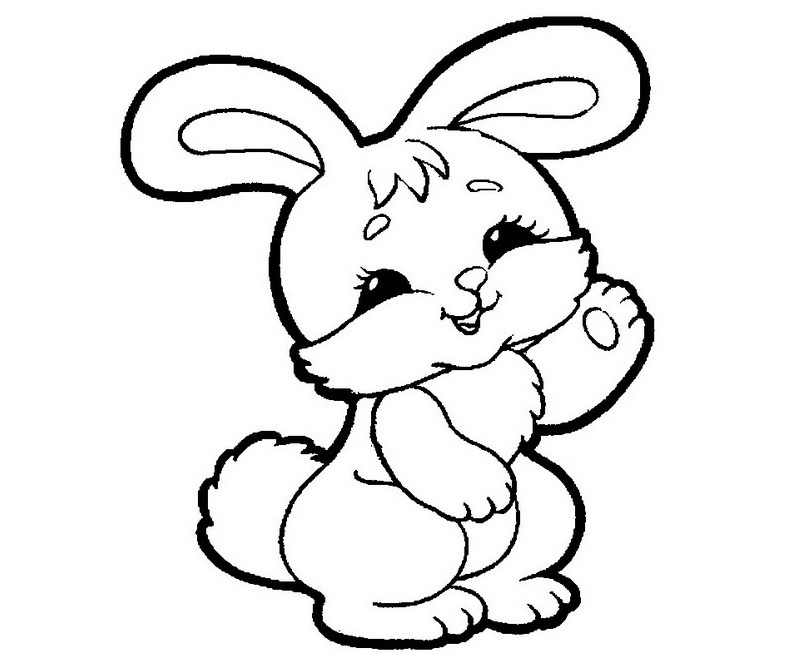 兔子的素描简笔画图片