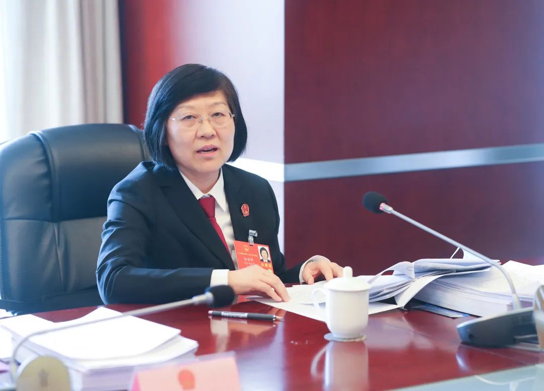 致敬民法典丨全国人大代表杨临萍:将纸面上的民法典转化为生动的审判