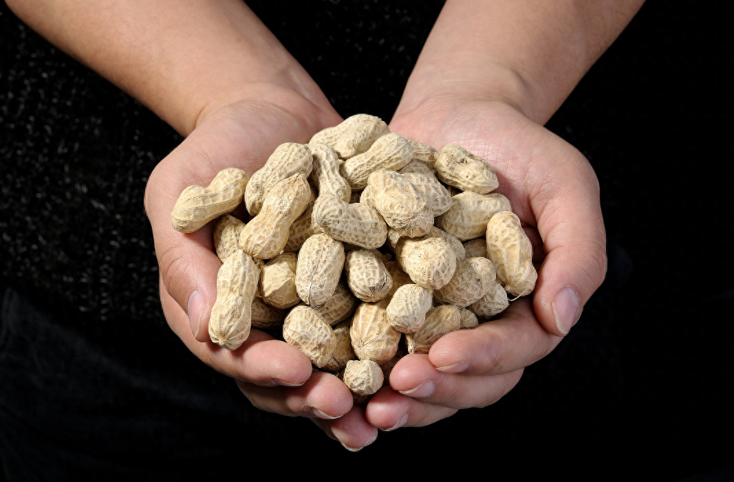 回顾新娘坐火车给黑袋子乘客抓了一把花生救了全车厢人性命