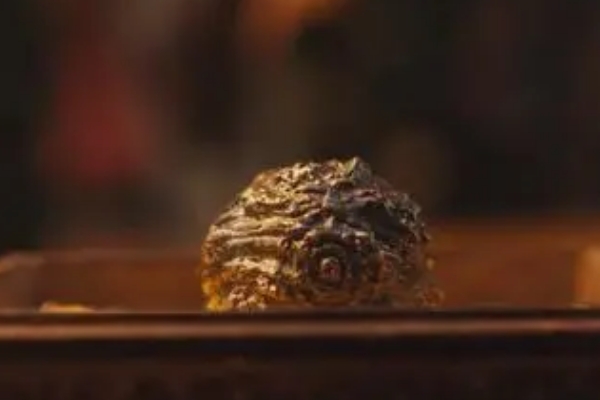 《鬼吹灯》雮尘珠怎么破除诅咒的